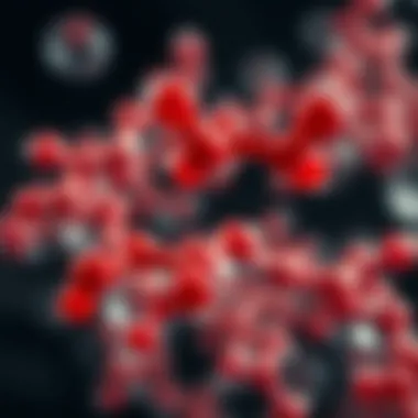 Magnificent Branched-Chain Amino Acids: Their Role, Impact, and Implications Magnificent Branched-Chain Amino Acids: Their Role, Impact, and Implications