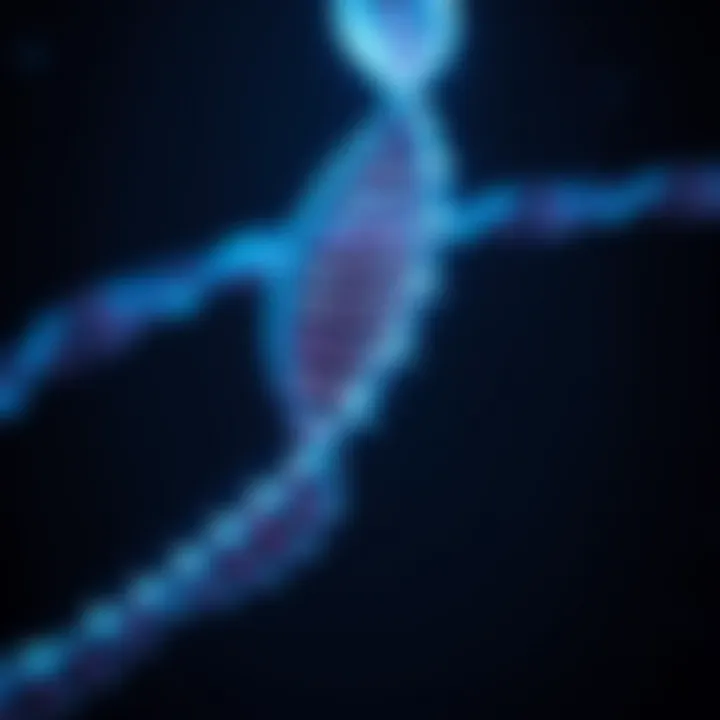 Magnificent Duchenne Muscular Dystrophy: Exploring Genetic Inheritance Mechanisms