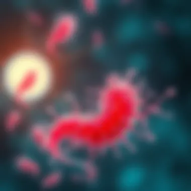 Magnificent Eradicating H. Pylori: A Comprehensive Approach Magnificent Eradicating H. Pylori: A Comprehensive Approach