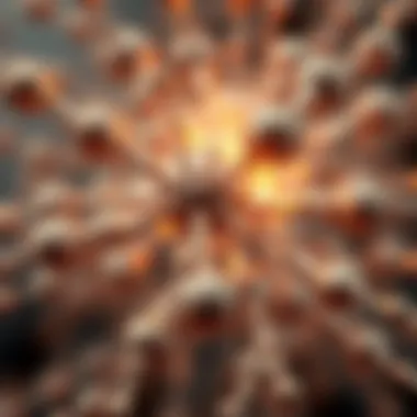 Magnificent Exploring the Intricacies of Magnetic Nanorods Magnificent Exploring the Intricacies of Magnetic Nanorods