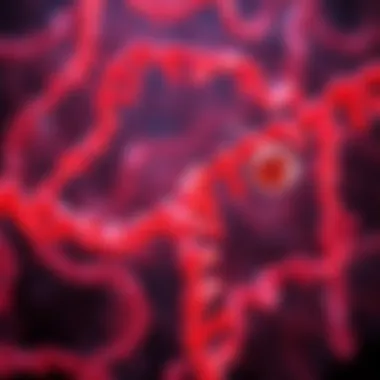 Magnificent Exploring the Role of Anti-dsDNA in Systemic Lupus Erythematosus