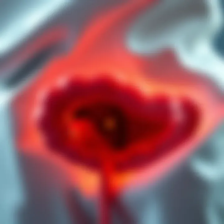 Magnificent Fecal Incontinence Management: An In-Depth Exploration