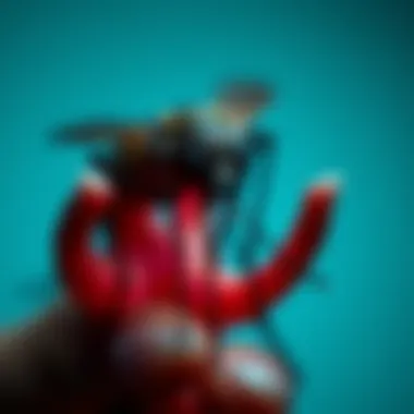 Magnificent Investigating the Risk of Contracting AIDS from Mosquito Bites Magnificent Investigating the Risk of Contracting AIDS from Mosquito Bites