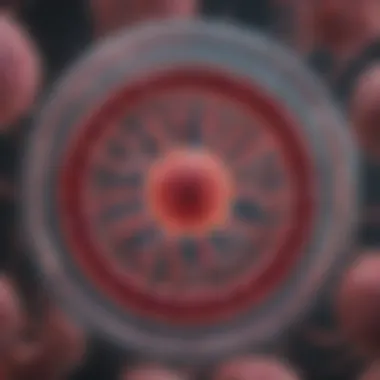 Magnificent The P53 Plasmid: Unraveling the Molecular Mechanisms of Tumor Suppression