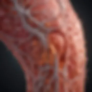 Magnificent The Role of Vitamin B12 in Supporting the Nervous System Magnificent The Role of Vitamin B12 in Supporting the Nervous System