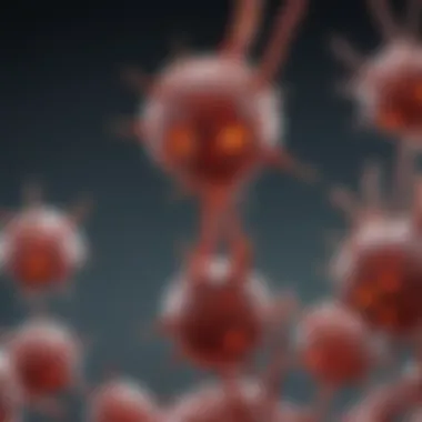 Magnificent Understanding Anti-HMGB1 Antibodies: Mechanisms and Implications Magnificent Understanding Anti-HMGB1 Antibodies: Mechanisms and Implications