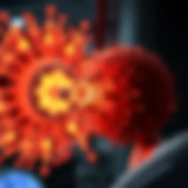 Magnificent Understanding GFR 53 Stage: Insights and Implications Magnificent Understanding GFR 53 Stage: Insights and Implications
