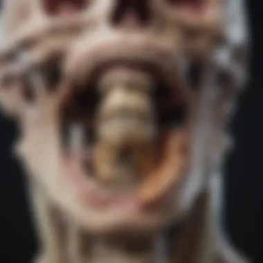 Illustration of bone structure affected by metastatic disease