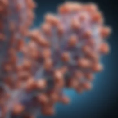 A Comprehensive Examination of Proteinase 3: Structure, Function, and Clinical Relevance Summary A Comprehensive Examination of Proteinase 3: Structure, Function, and Clinical Relevance Summary