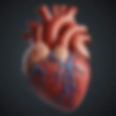 Diagram of Heart Anatomy with Blocked Arteries An illustration depicting the heart with blocked arteries