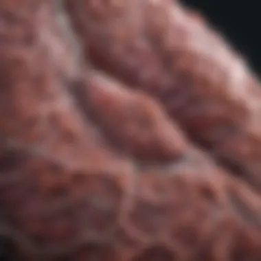 Role of Advanced Imaging Techniques in Lung Cancer Staging Advanced imaging techniques in lung cancer