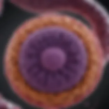 Advancements in Pancreatic Cancer Treatment Visual representation of the advancements in pancreatic cancer treatment