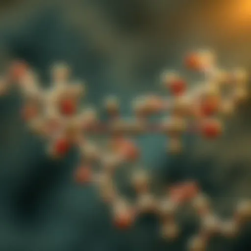Chemical structure of deoxynucleotides