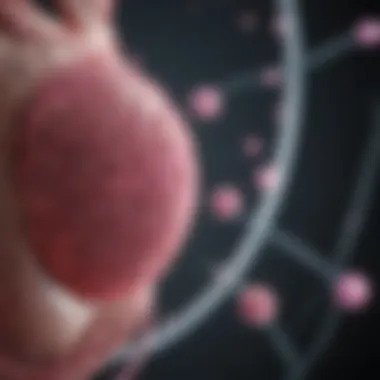Infographic showing future directions in breast cancer research