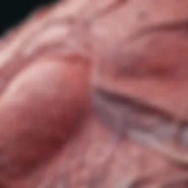 High-resolution histological slide of breast cancer