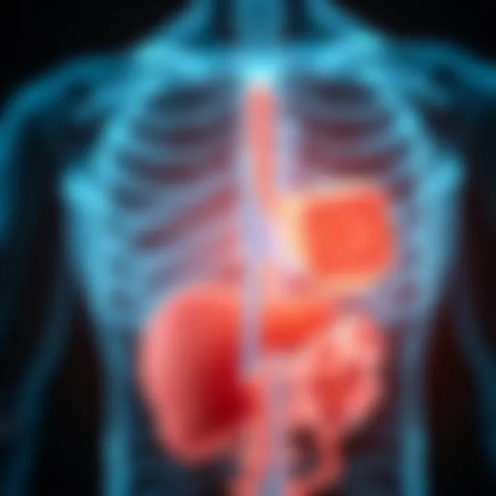 Pathophysiology of Autoimmune Hepatitis Diagram representing the pathophysiology of autoimmune hepatitis