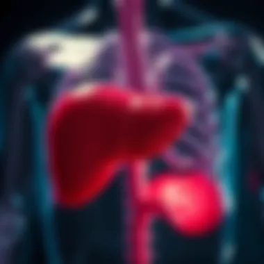 Symptoms of Autoimmune Hepatitis Visual representation of symptoms associated with autoimmune hepatitis