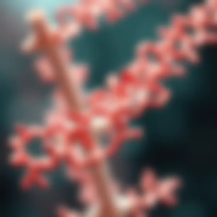 AXL as a biomarker in diseases