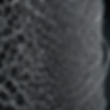 Close-up of biologic mesh structure and composition