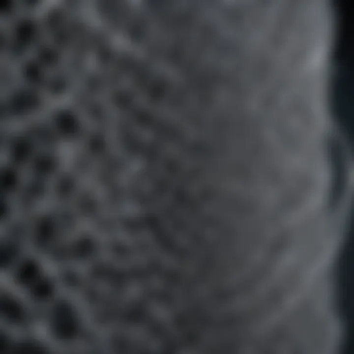 Close-up of biologic mesh structure and composition