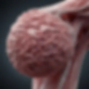 Notable BRAF V600E Mutation in Thyroid Cancer: Treatment Insights Notable BRAF V600E Mutation in Thyroid Cancer: Treatment Insights