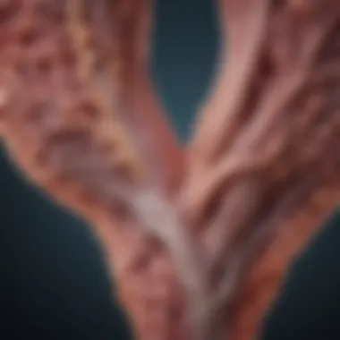 BRAF V600E Mutation in Thyroid Cancer: Treatment Insights Summary BRAF V600E Mutation in Thyroid Cancer: Treatment Insights Summary