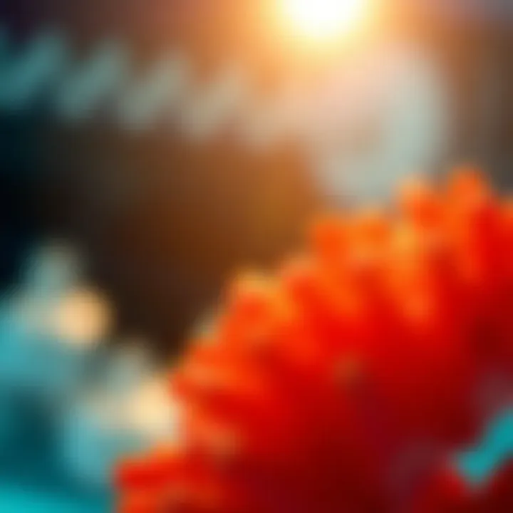 Applications of BSA in Science Diagram illustrating the applications of BSA in biochemistry and medicine