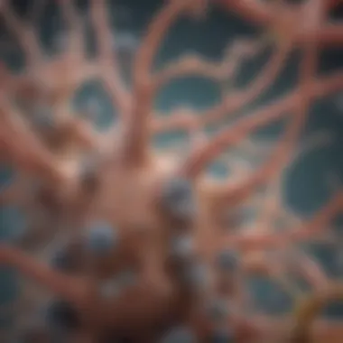 Pathogenic mechanisms of Candida tropicalis