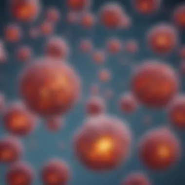 Cellular Responses Following miRNA Mimic Transfection Microscopic view of cells post-transfection