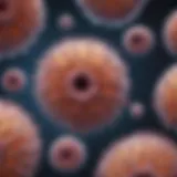 Microscopic view of cholangiocarcinoma cells