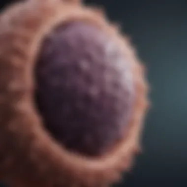 Innovations in Cholangiocarcinoma Treatment Recent advancements in cholangiocarcinoma treatment