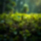 The Vulnerability of Ecosystems to Climate Change Diverse ecosystems impacted by climate change