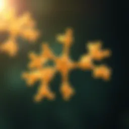 The molecular structure of clindamycin.