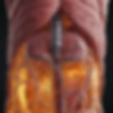 Biological Mechanisms of Alcohol and Colitis Illustration of biological mechanisms linking alcohol consumption and colitis