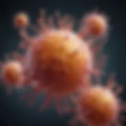 Illustration of immune system cells in action