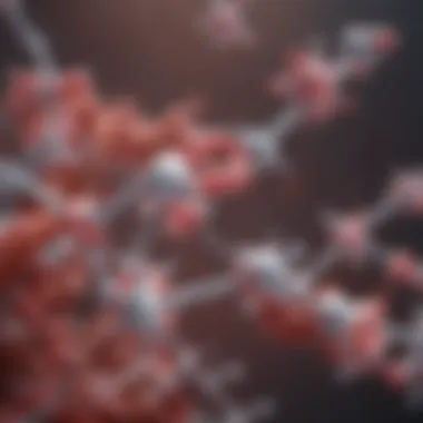 Molecular Structure of Enrofloxacin Enrofloxacin molecular structure