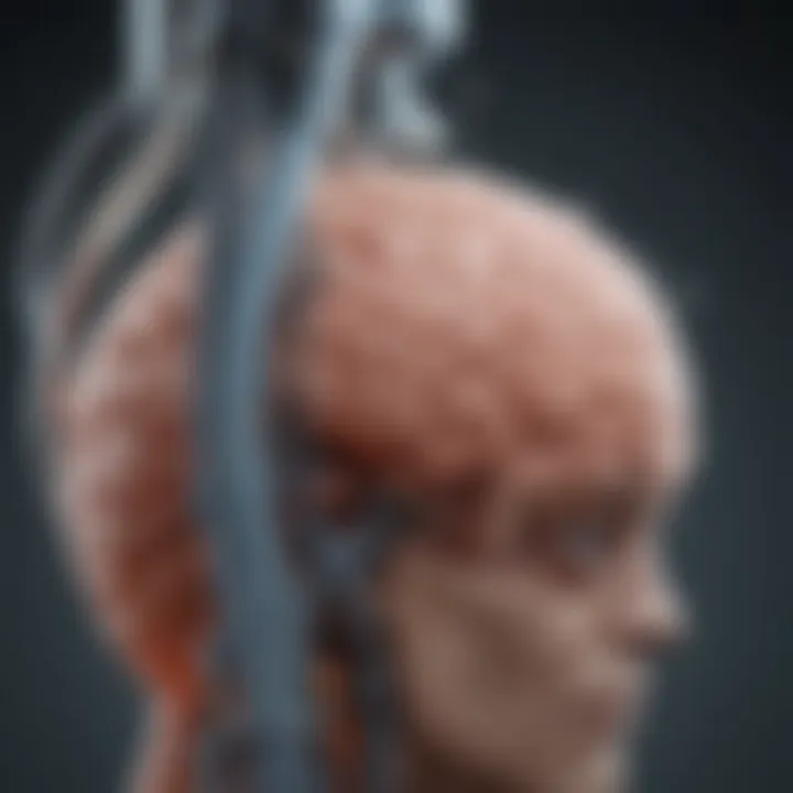Laboratory analysis of cerebrospinal fluid in GBS assessment
