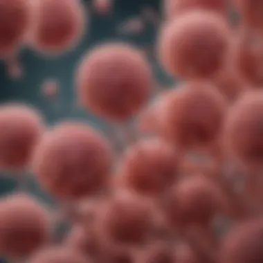 Microscopic Analysis of Typhi Pathogen Microscopic view of Salmonella enterica serovar Typhi