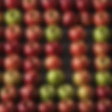 Diverse Varieties of Apples An artistic representation of various apple varieties