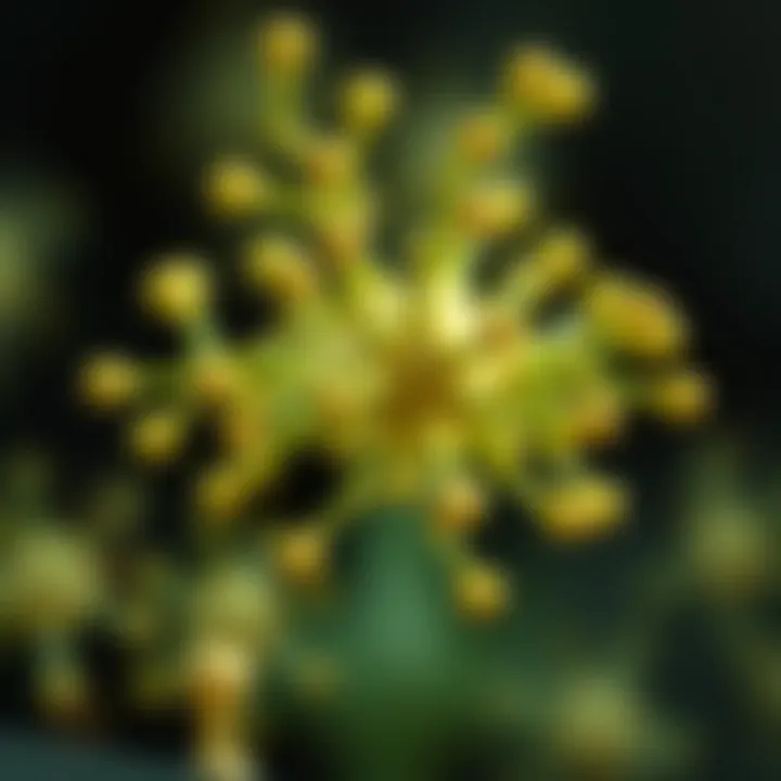 Understanding the Biochemical Mechanisms of Botulinum Toxin Biochemical mechanisms of botulinum toxin