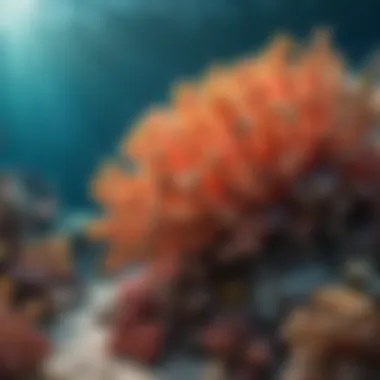 Biodiversity of Healthy Coral Reefs Vibrant coral reefs showcasing biodiversity before bleaching