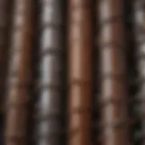 Illustration depicting various types of corrosion affecting metal structures