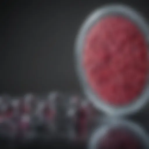 CPI 613: A Potential Game-Changer in Pancreatic Cancer Treatment Introduction