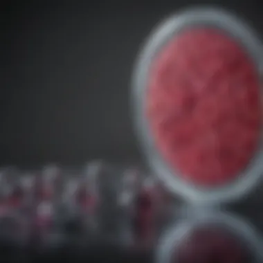 CPI 613: A Potential Game-Changer in Pancreatic Cancer Treatment Introduction CPI 613: A Potential Game-Changer in Pancreatic Cancer Treatment Introduction