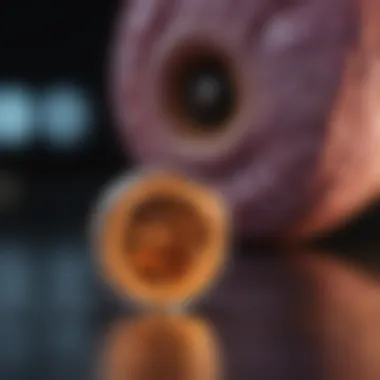 Notable CPI 613: A Potential Game-Changer in Pancreatic Cancer Treatment Notable CPI 613: A Potential Game-Changer in Pancreatic Cancer Treatment