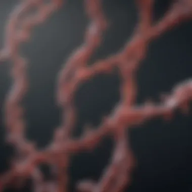 CRISPR-Cas9 Companies: An Emerging Consortium in Genome Editing Introduction CRISPR-Cas9 Companies: An Emerging Consortium in Genome Editing Introduction