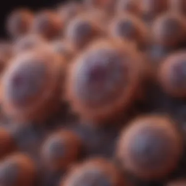 Microscopic Insights into Aging Cells Microscopic view of cellular aging