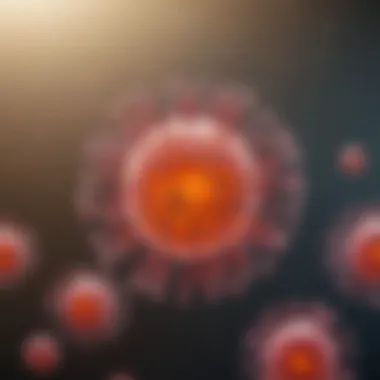 Current Research Trends in MSC Exosomes Research trends in the study of mesenchymal stem cell exosomes