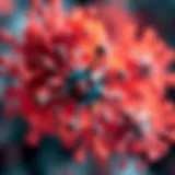 Molecular Insights into Multiple Myeloma Treatments Molecular structure of therapeutic agents