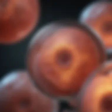 Critical Environment for Embryonic Growth Critical environment for embryonic growth